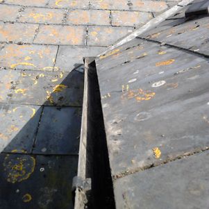 roof cleaning near me