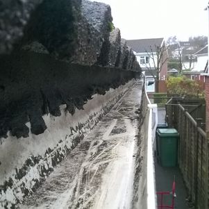moss removal gloucester