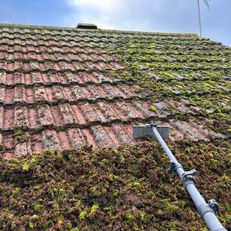 Roof Moss Removal Gloucester